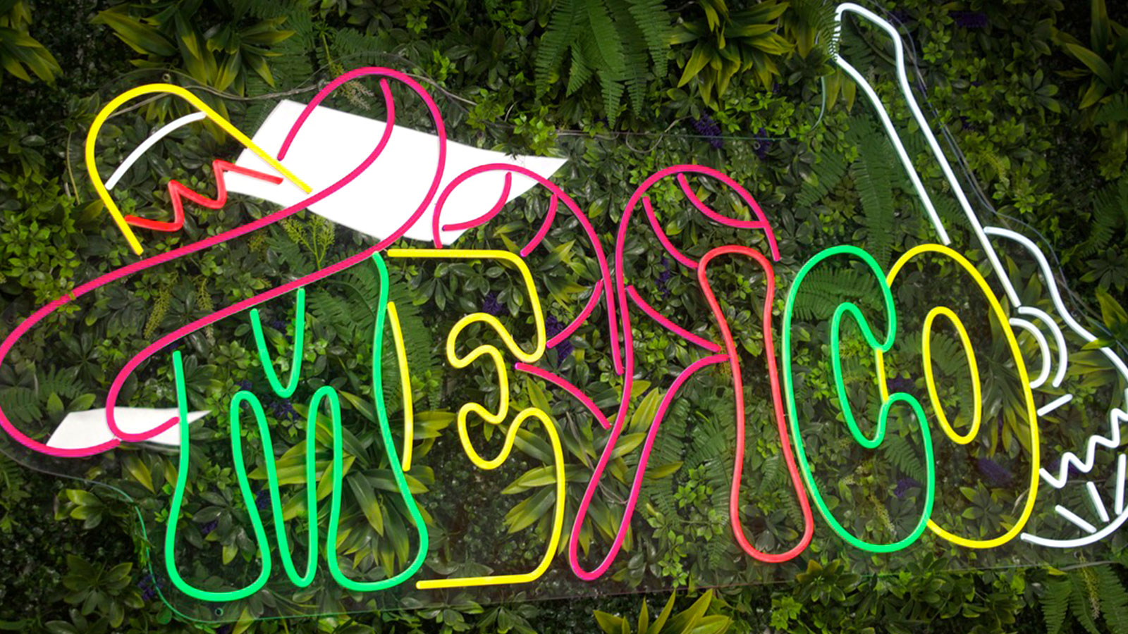 Mexi Papa Gallery 16